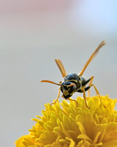 wolfgang-hasselmann-k3GiGKPVanY-unsplash (1)